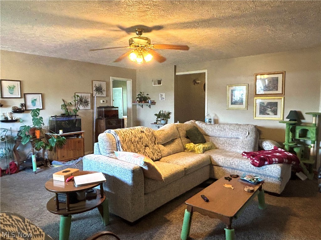 6119 Youngstown Conneaut Road Kinsman OH 44428