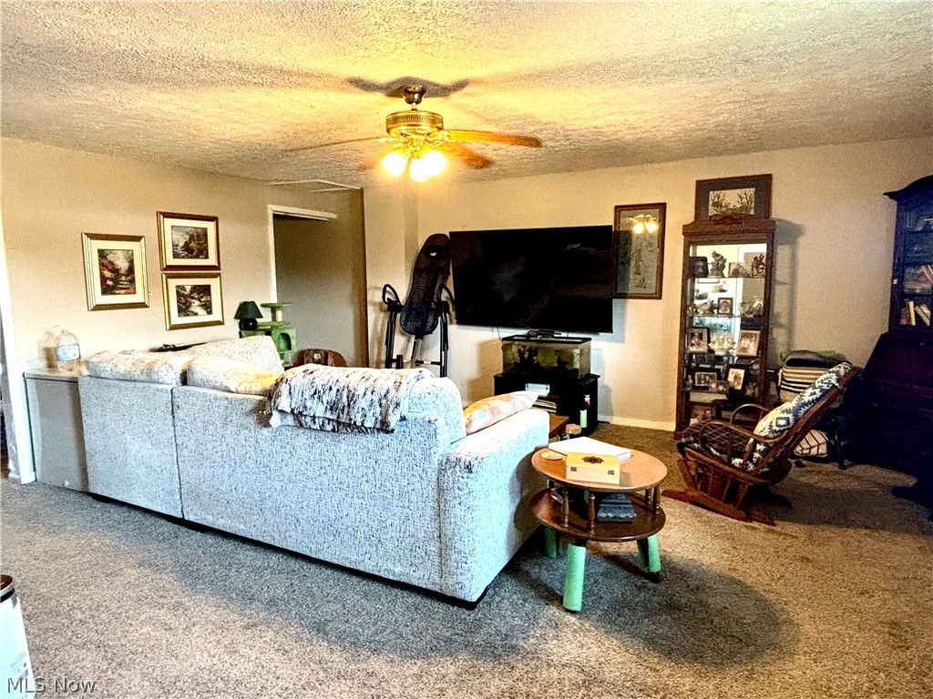 6119 Youngstown Conneaut Road Kinsman OH 44428