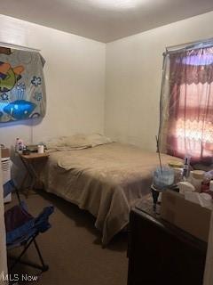 4106 E 142 Street Cleveland OH 44128