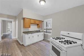 13201 Southview Avenue Cleveland OH 44120
