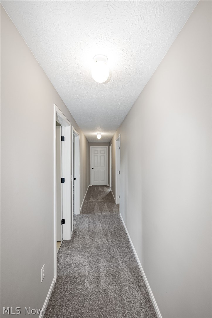 48903-48905 N Ridge Road Amherst OH 44001
