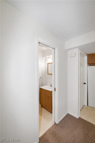 48903-48905 N Ridge Road Amherst OH 44001