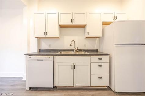 1390 E 109th Street Cleveland OH 44106