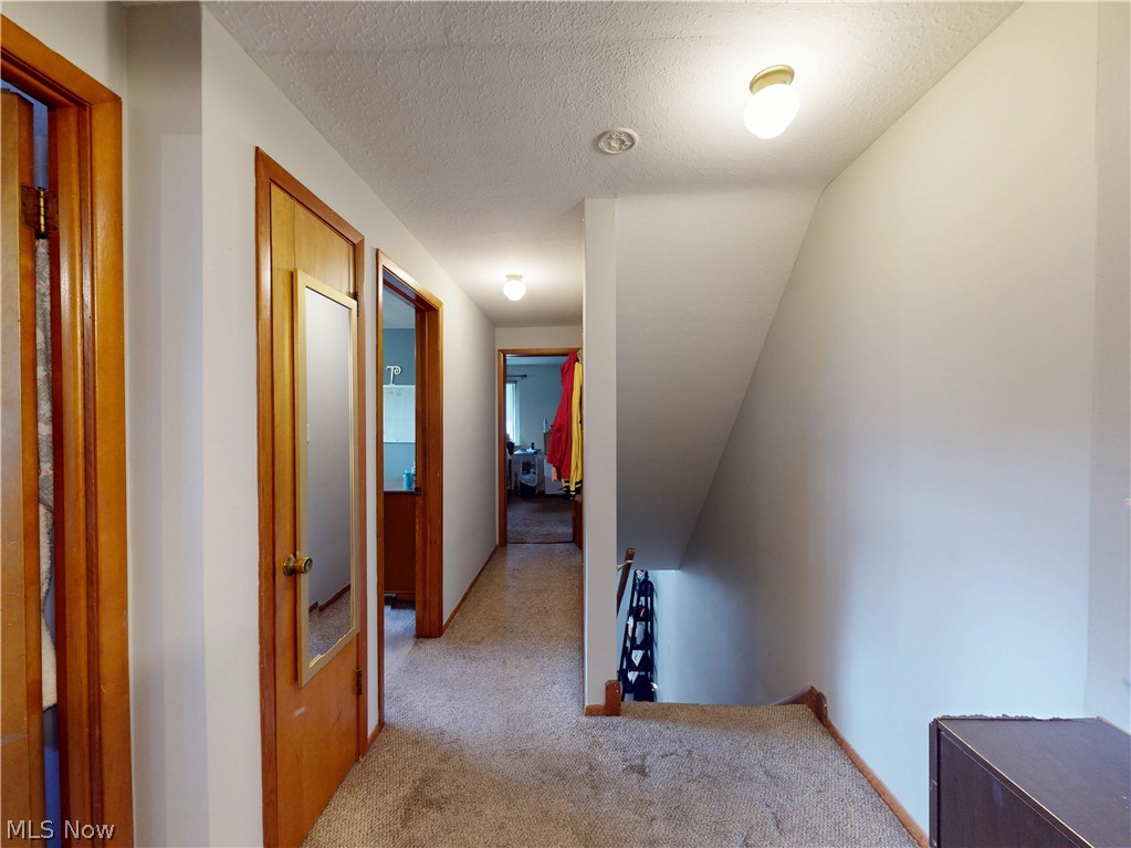 1187 Bonnie Lane Mayfield Heights OH 44124