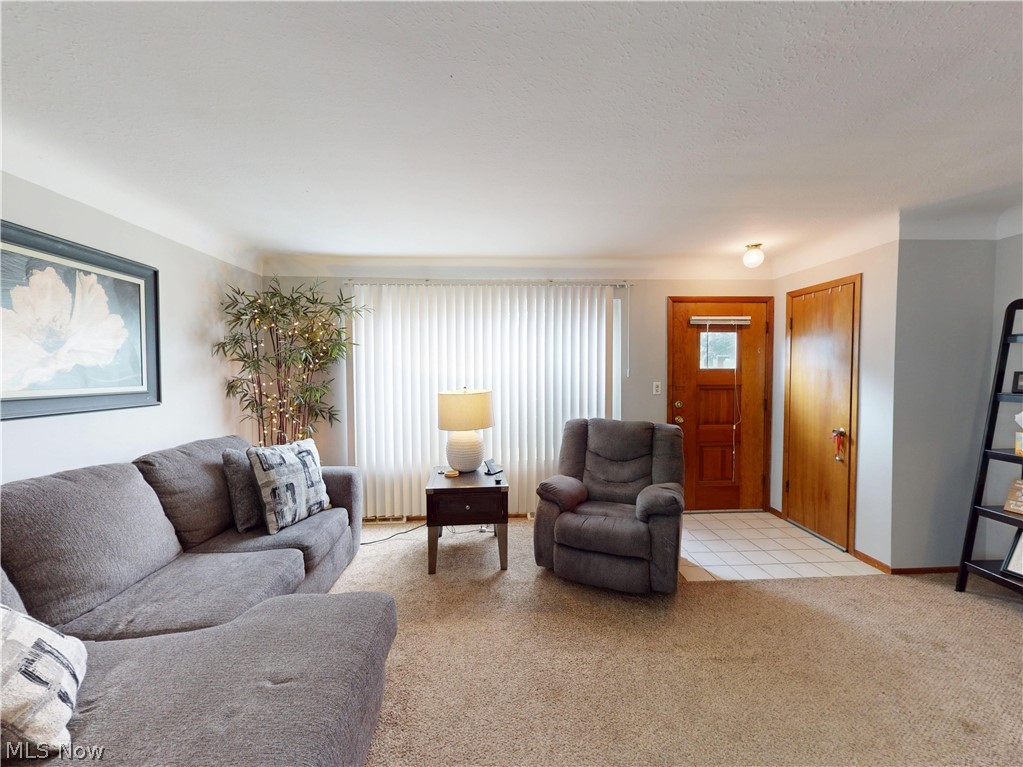 1187 Bonnie Lane Mayfield Heights OH 44124