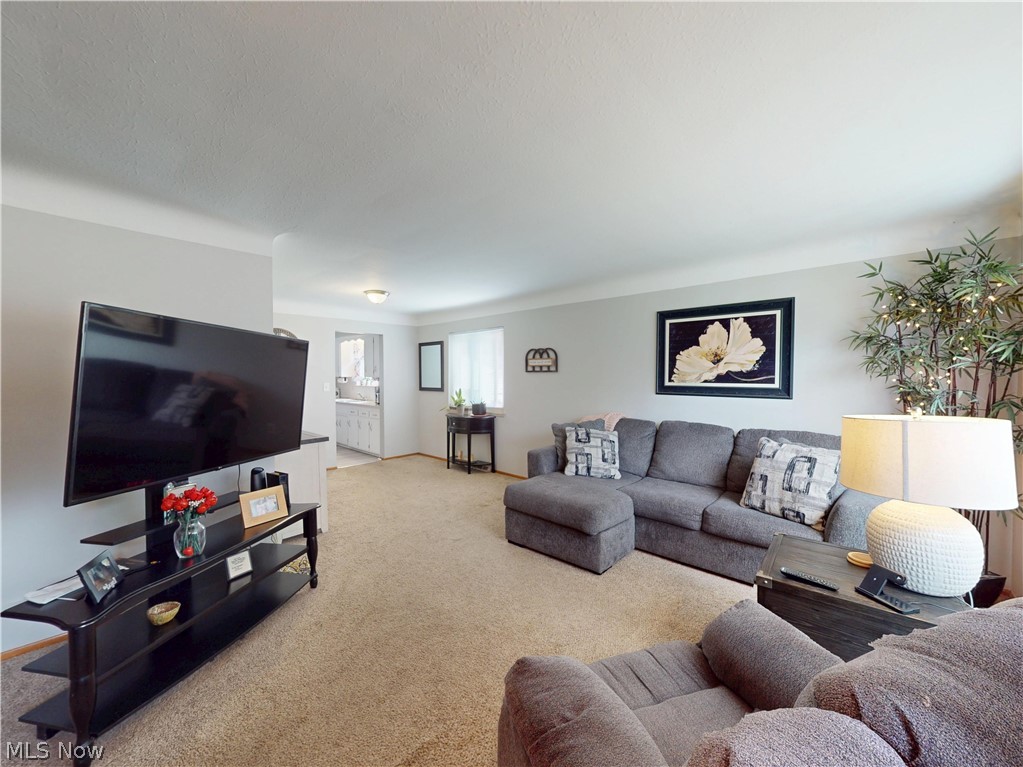 1187 Bonnie Lane Mayfield Heights OH 44124