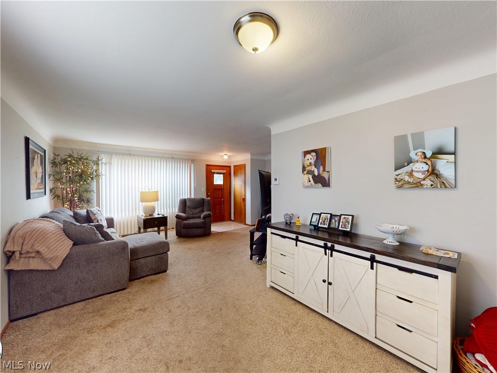 1187 Bonnie Lane Mayfield Heights OH 44124