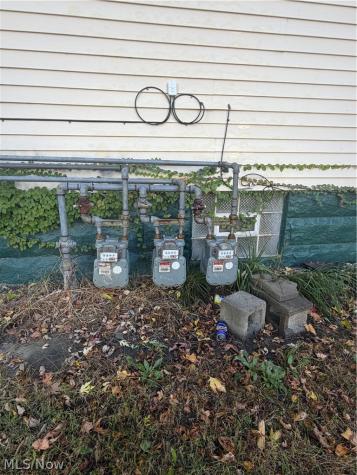 9904 Parkgate Avenue Cleveland OH 44108