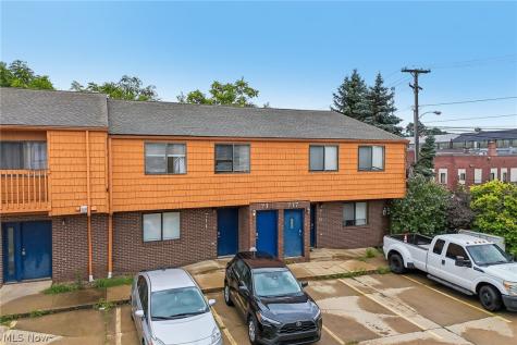 711 & 719 Carroll Street Akron OH 44304