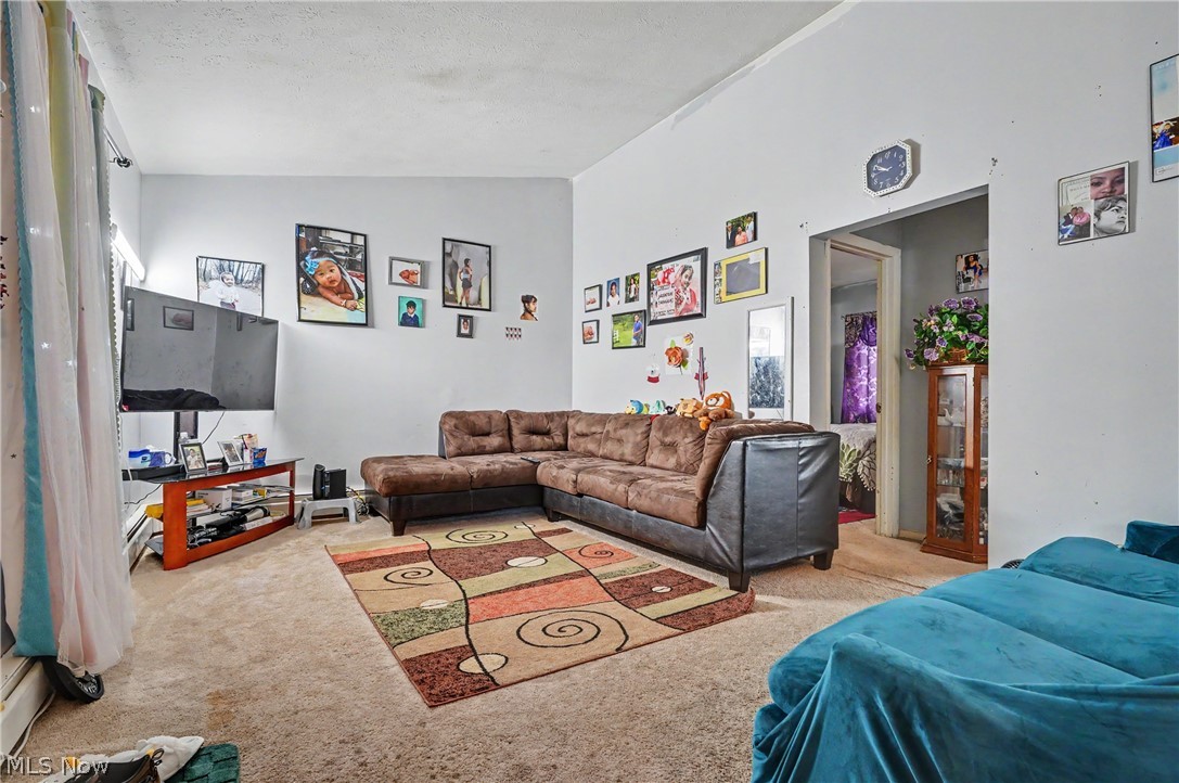 1332-1334 Alphada Avenue Akron OH 44310