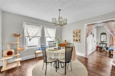 2203 Bunts Road Lakewood OH 44107