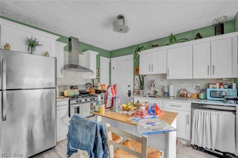 2203 Bunts Road Lakewood OH 44107