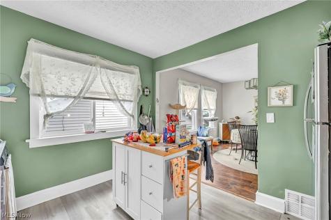 2203 Bunts Road Lakewood OH 44107