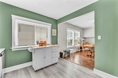 2203 Bunts Road Lakewood OH 44107