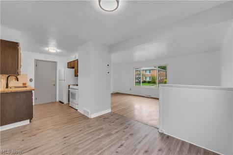 927 E 216th Street Euclid OH 44119