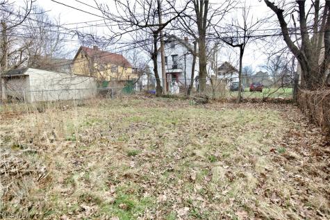 11224 Parkview Avenue Cleveland OH 44104
