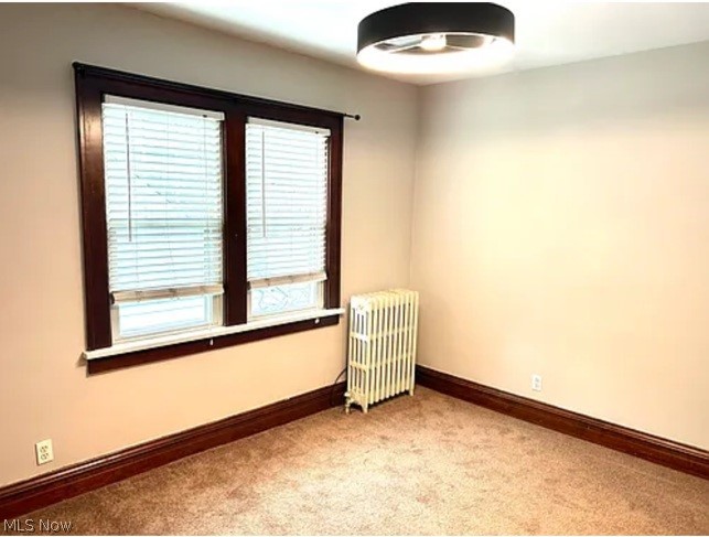 1715 Edgefield Road Lyndhurst OH 44124