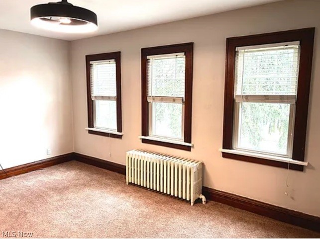 1715 Edgefield Road Lyndhurst OH 44124