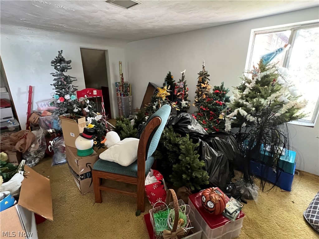 226 E Pace Avenue Akron OH 44319