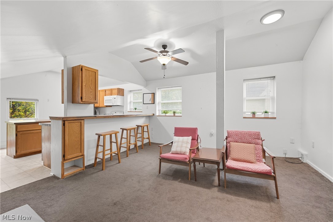 216 N Main Street Oberlin OH 44074