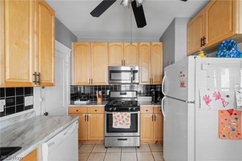 1259 Donald Avenue Lakewood OH 44107