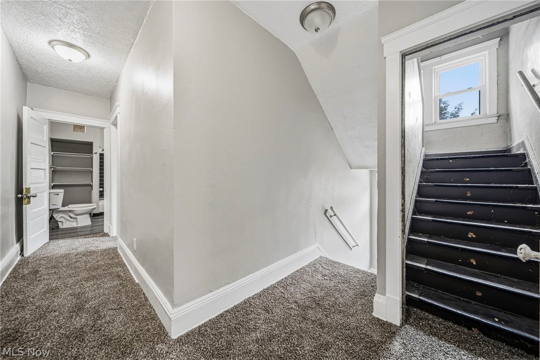 1637 Holyrood Road Cleveland OH 44106