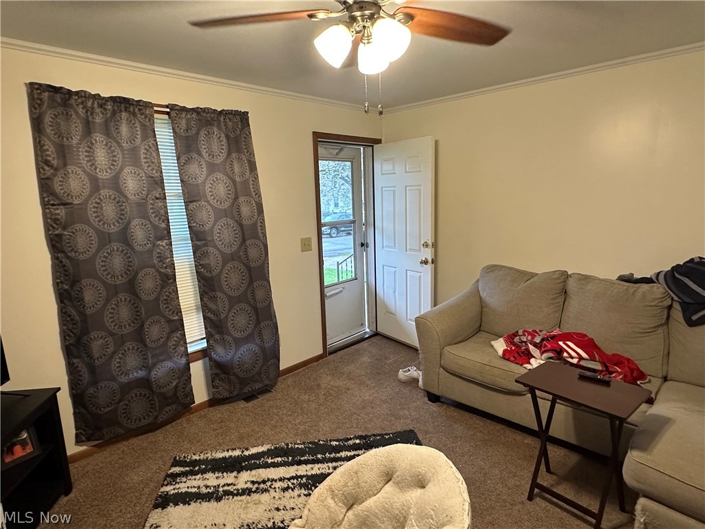 537 Dale Avenue Willard OH 44890