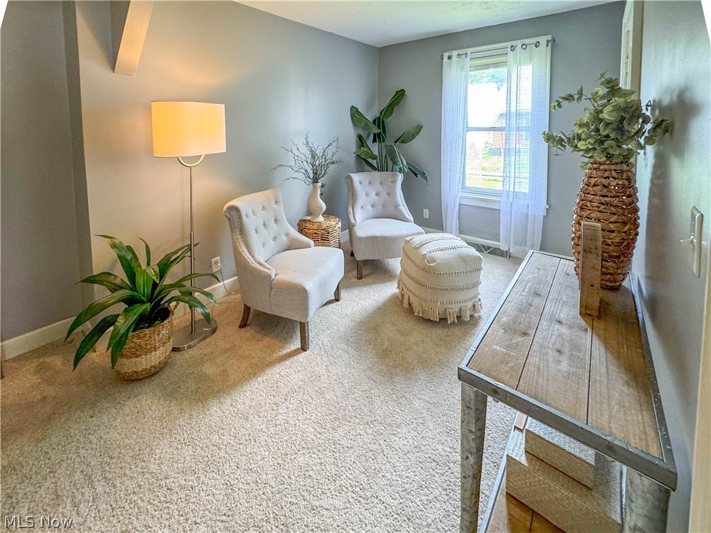 32 Romaine Avenue Boardman OH 44512