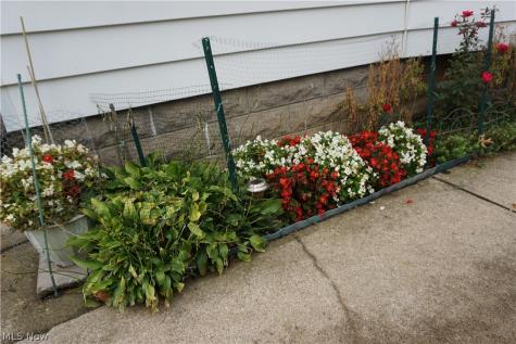 19708 Shawnee Avenue S Cleveland OH 44119