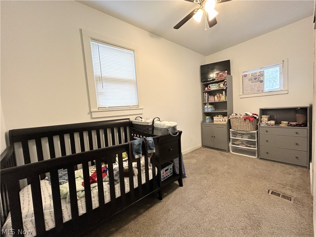 254 S Eagle Street Geneva OH 44041