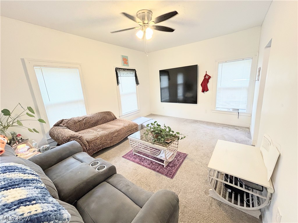 254 S Eagle Street Geneva OH 44041