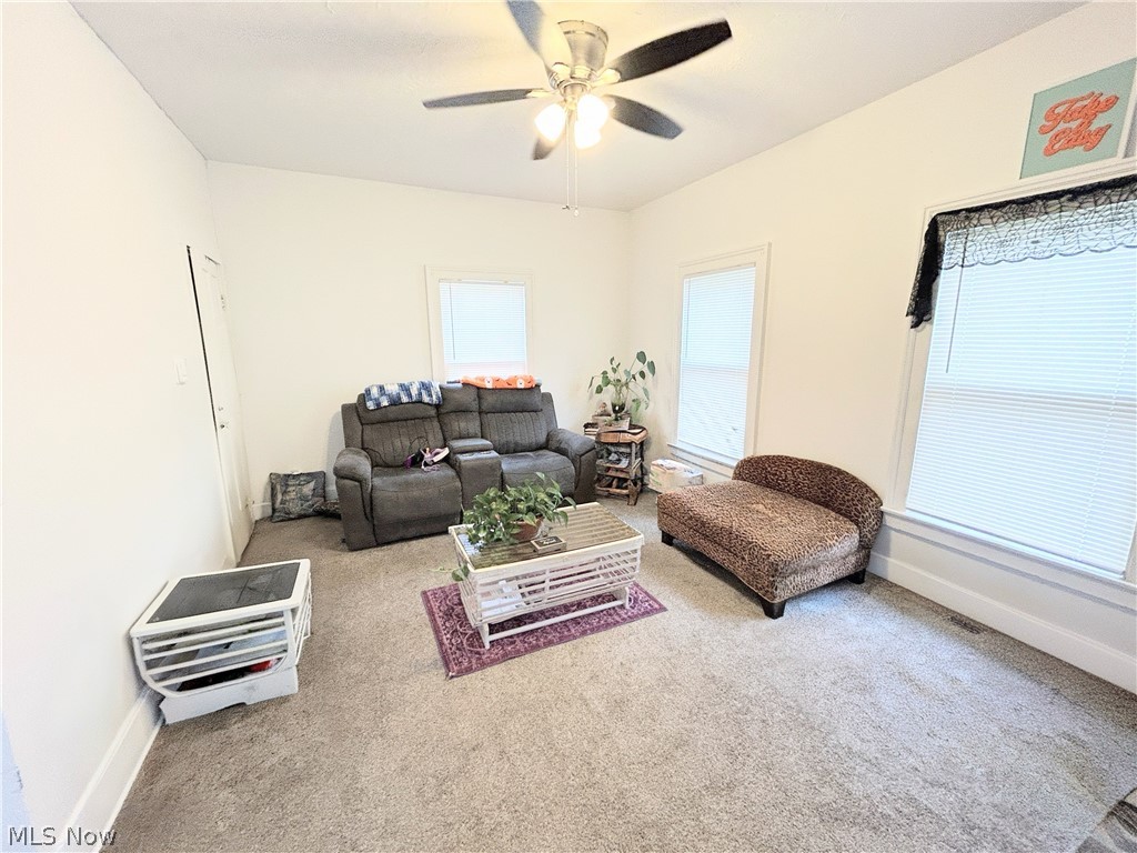 254 S Eagle Street Geneva OH 44041