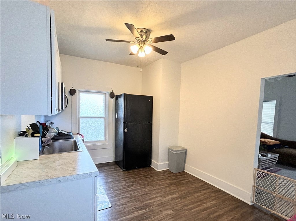 254 S Eagle Street Geneva OH 44041
