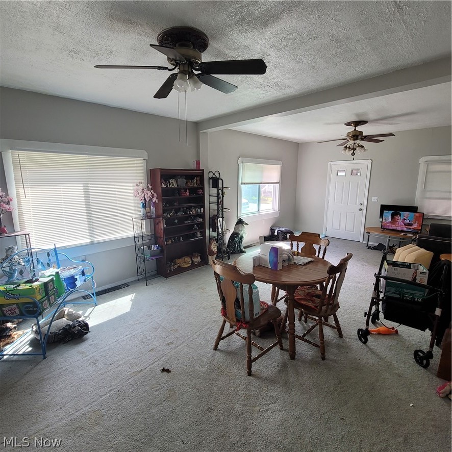 5910 Pilsen Avenue Cleveland OH 44102