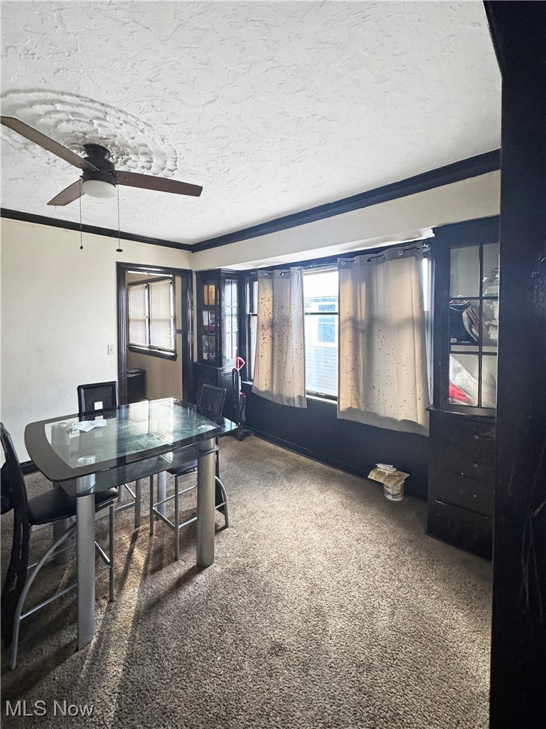 14106 Glenside Road Cleveland OH 44110