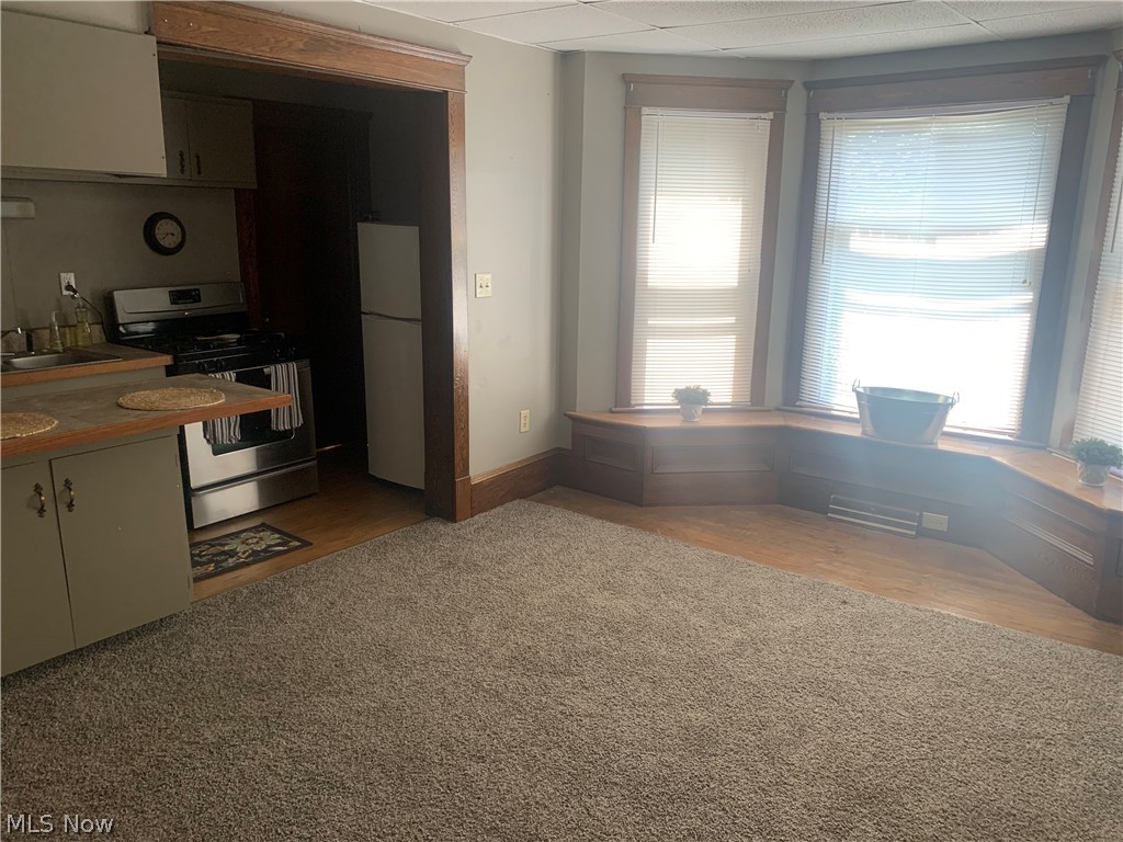 145 Grant Street Conneaut OH 44030