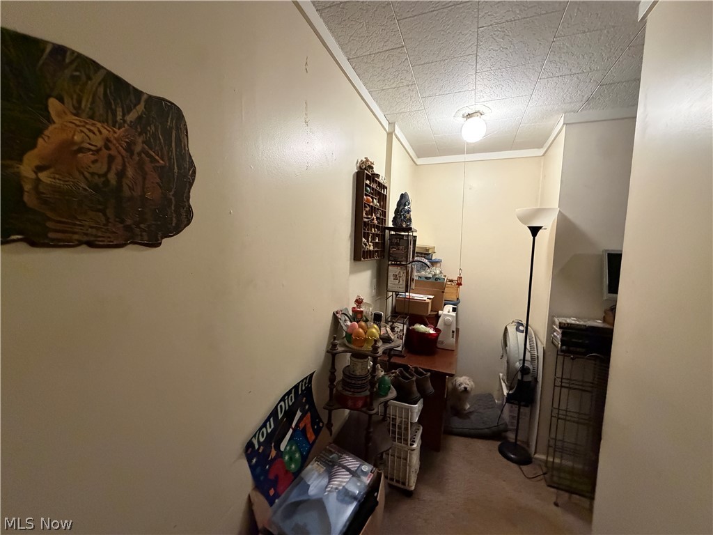 810 Newton Drive Newton Falls OH 44444