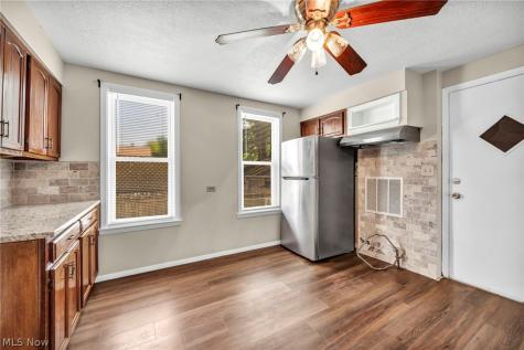 1559 Hopkins Avenue Lakewood OH 44107