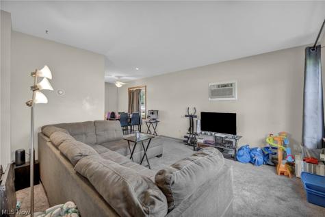 3208 Pleasant Drive Norton OH 44203