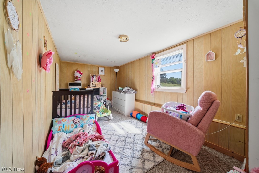 5582 S Ridge Road Madison OH 44057