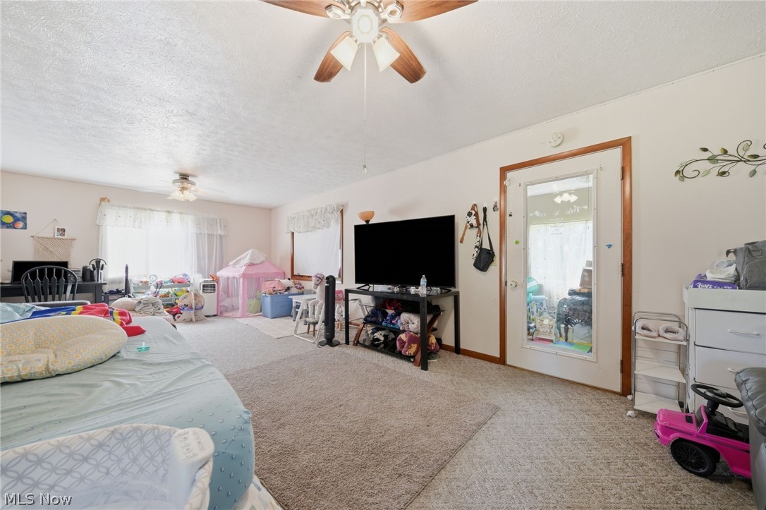 5582 S Ridge Road Madison OH 44057