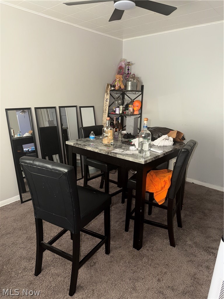 7426 Spafford Road Cleveland OH 44105