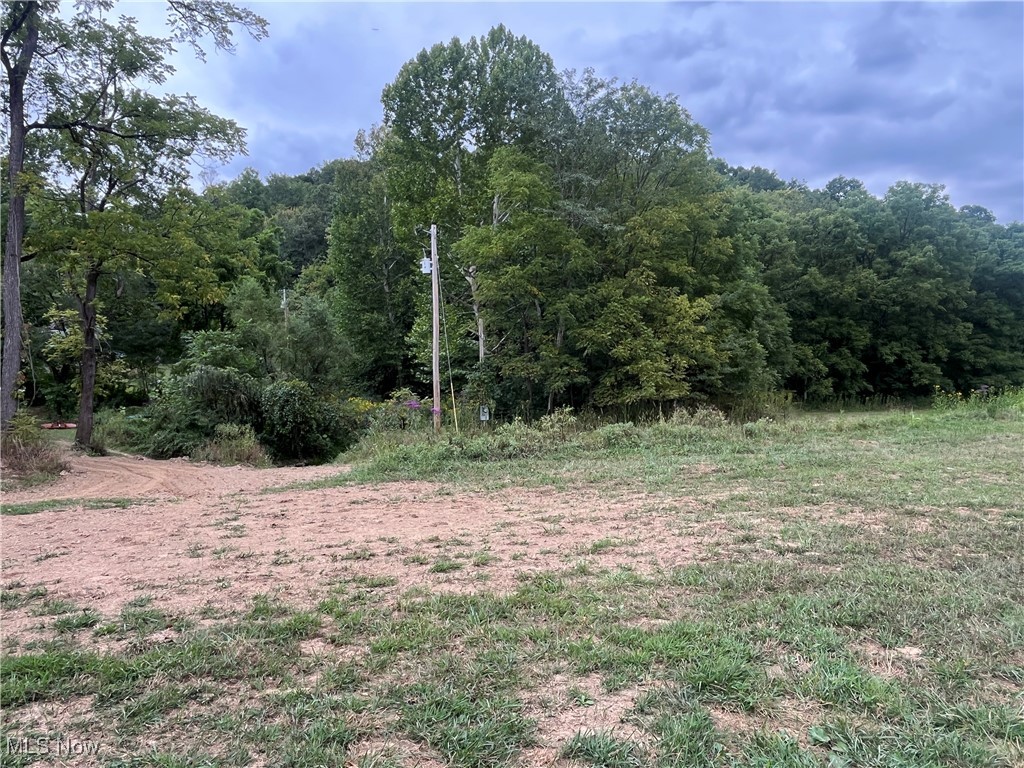 1285/1300/1340 Moody Hollow Road Blue Rock OH 43720