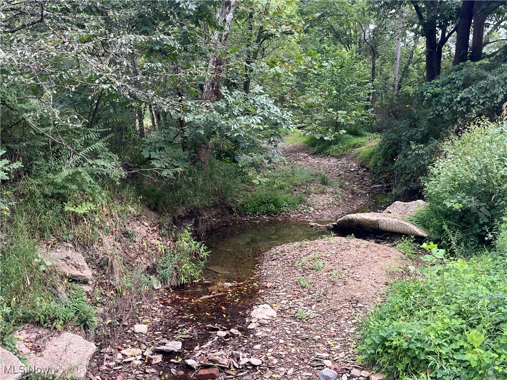 1285/1300/1340 Moody Hollow Road Blue Rock OH 43720