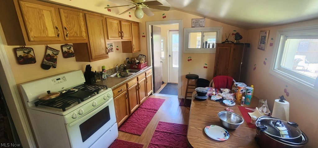 3222 W 46th Street Cleveland OH 44102