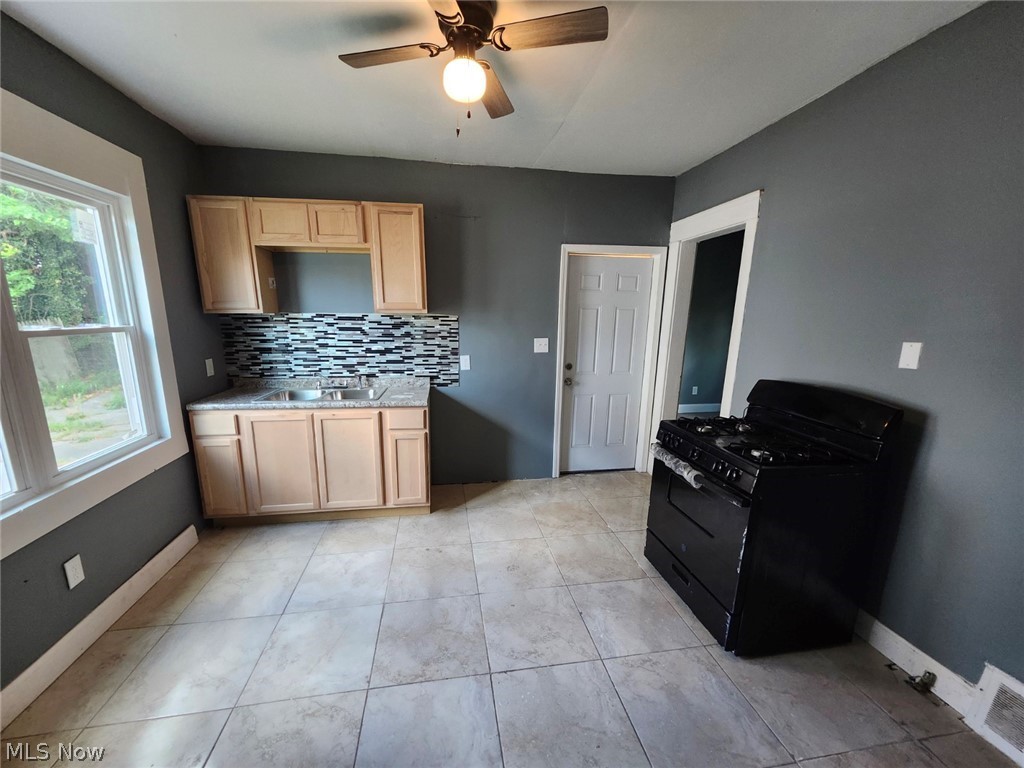 2919 E 119th Street Cleveland OH 44120