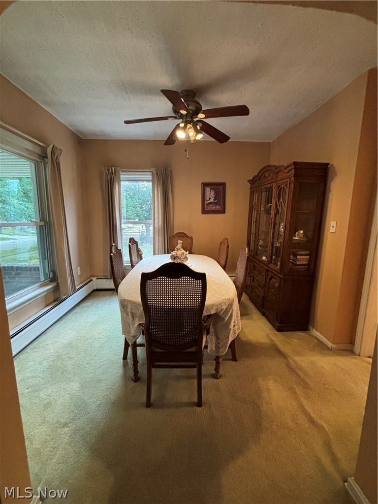831 Whitcomb Road Cleveland OH 44110