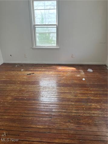 737 E 165th Street Cleveland OH 44110