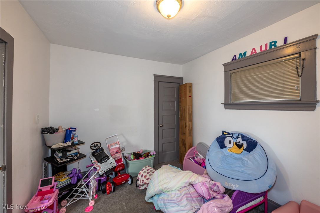 13509 Svec Avenue Cleveland OH 44120