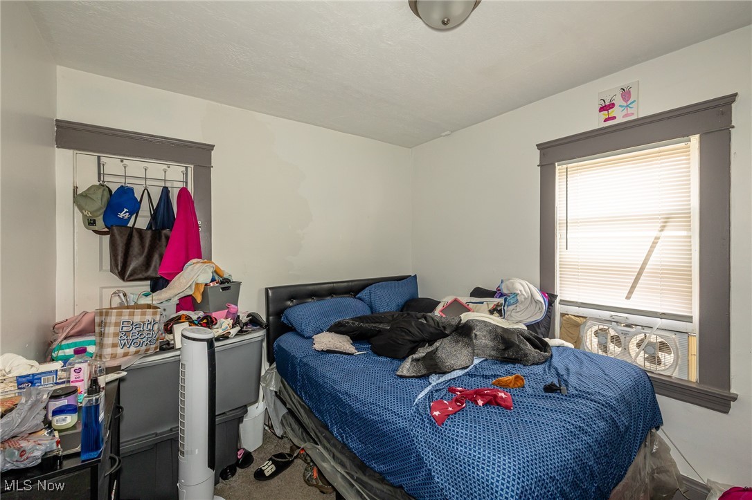 13509 Svec Avenue Cleveland OH 44120